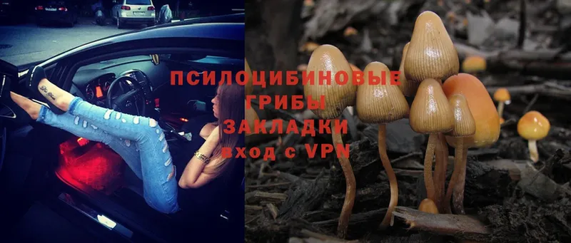 Галлюциногенные грибы Magic Shrooms  Киров 